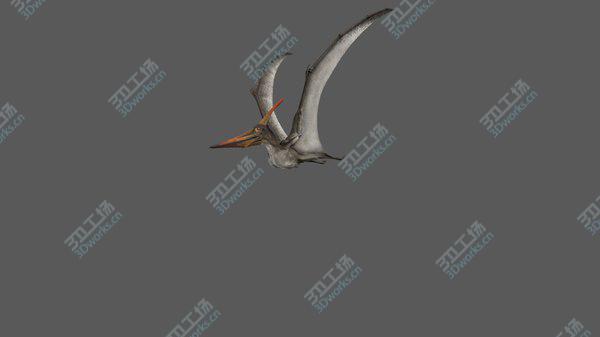 images/goods_img/20210312/3D model Pteranodon Longiceps Gray Animated/5.jpg